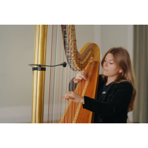 MC-5-Harp-A1_Neumann-Miniature-Clip-Mic-System_G