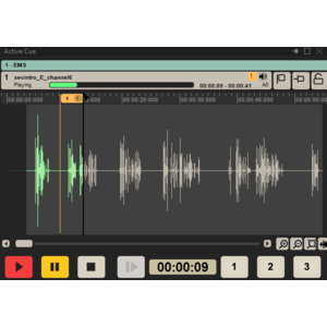 OVATION_11_Active_Cue
